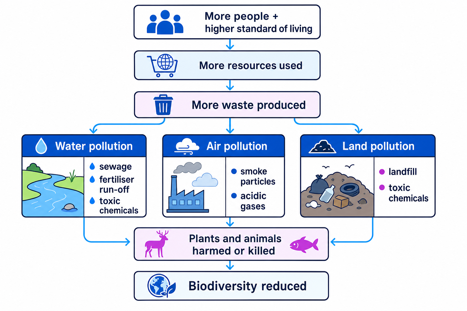 Flow diagram showing population growth and higher standard of living leading to more resources used, more waste produced, water air and land pollution, harm to organisms, and reduced biodiversity