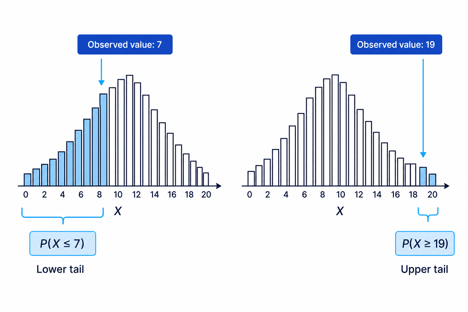 A binomial bar chart showing how cumulative lower-tail and upper-tail probabilities include the observed value and all more extreme outcomes.